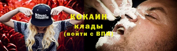 спайс Арсеньев