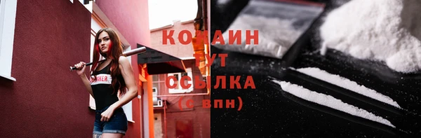 МДПВ Новозыбков