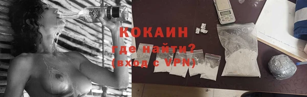 спайс Арсеньев