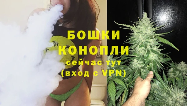 спайс Арсеньев