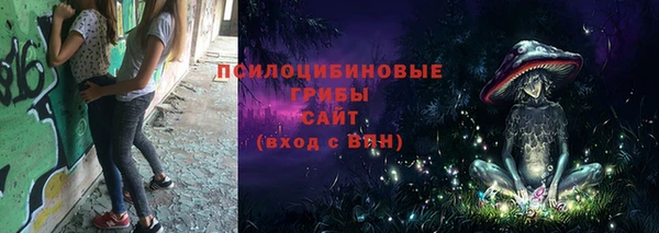 спайс Арсеньев